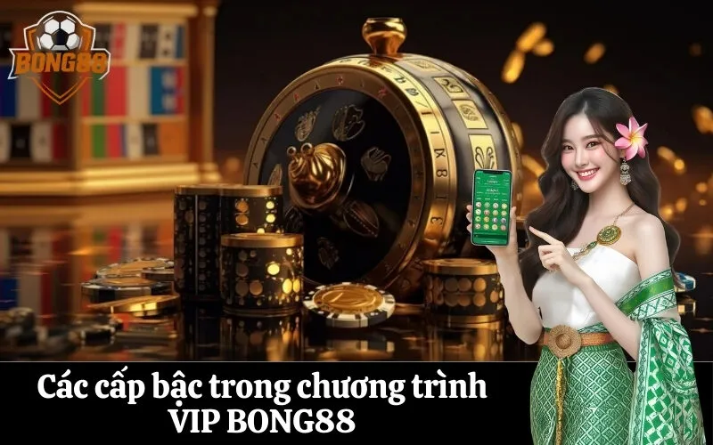 Các cấp bậc trong chương trình VIP BONG88