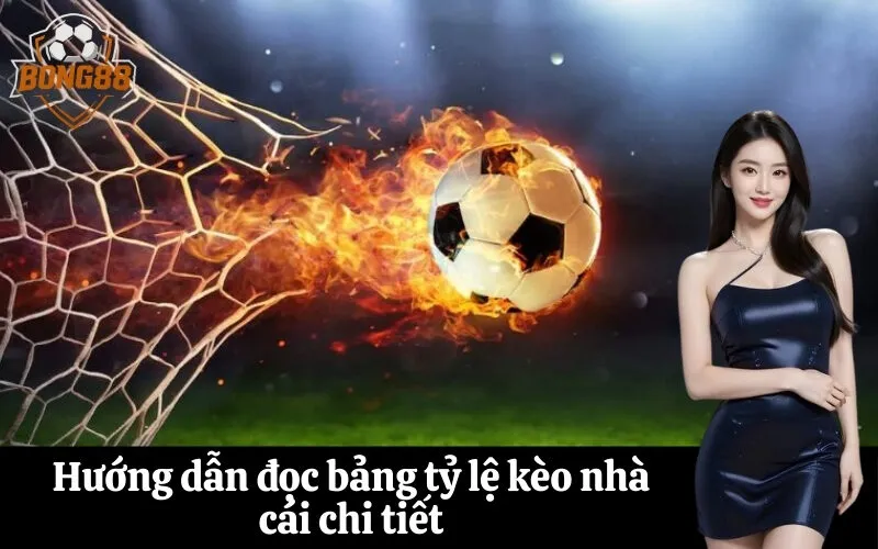 Hướng dẫn đọc bảng tỷ lệ kèo nhà cái chi tiết