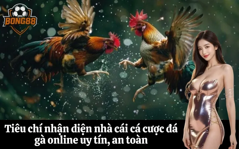 Tiêu chí nhận diện nhà cái cá cược đá gà online uy tín, an toàn